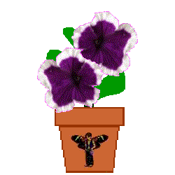 The Site Fights Spirit Flowers