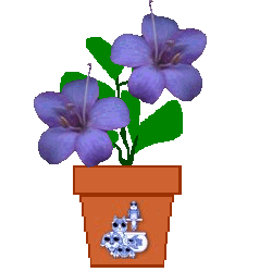 The Site Fights Spirit Flowers