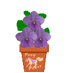 The Site Fights Spirit Flowers