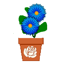 The Site Fights Spirit Flowers