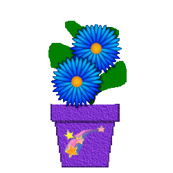 The Site Fights Spirit Flowers