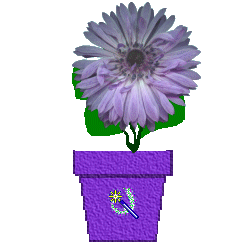 The Site Fights Spirit Flowers