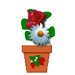 The Site Fights Spirit Flowers