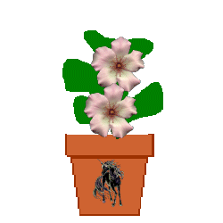 The Site Fights Spirit Flowers