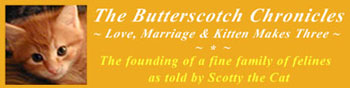 The Butterscotch Chronicles - Cat Humor