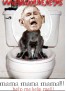 Bush's Funny Pic