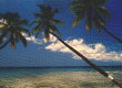 Coconuts