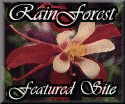 RainForest Featured Page