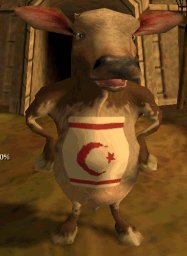 Northern Cyprus Cow