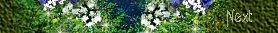 Next Page