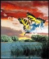 airella fairy.GIF (46480 bytes)