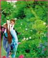 amora fairy .GIF (52784 bytes)