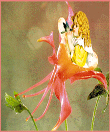 blossom  tiniest.GIF (48531 bytes)