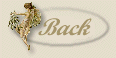 fairy4back.GIF (3745 bytes)