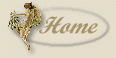 fairy4home.GIF (3730 bytes)