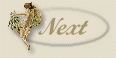 fairy4nxt.gif (3676 bytes)