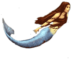 float.gif (7439 bytes)
