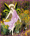 flutter fairy.GIF (62746 bytes)