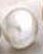 pearl.jpg (3127 bytes)