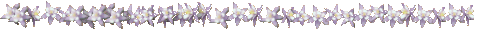 purpleflowerline.gif (7310 bytes)