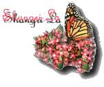 shangrilabutton.gif (10097 bytes)