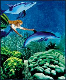 Copy of shelley fairy .jpg (15357 bytes)