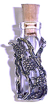 turtlebtl.JPG (19491 bytes)