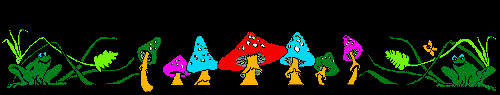 bright mushroom bar