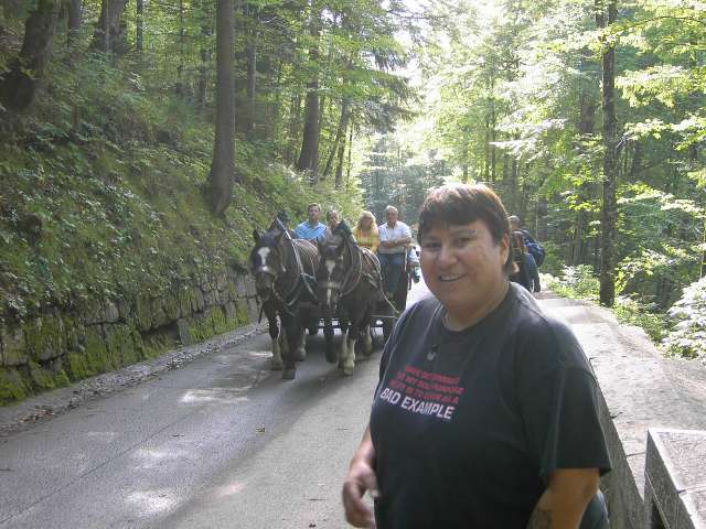 No, I didn't ride this up, or down!