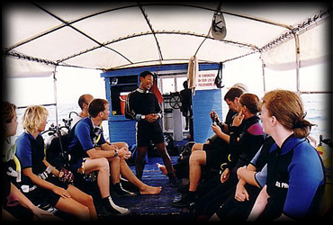 Dive Briefing