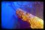 4" gun barrel of the HMS Repulse