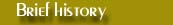 Brief History