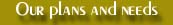 Our visions,plans,needs