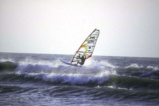 MIGLIORINI IN AZIONE
