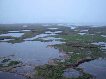 il reef