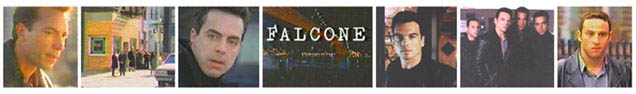 Falcone Banner