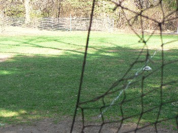 Right Field