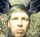 Deer in Headlights