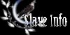Slave Info
