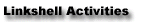 Linkshell Activities