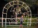 lights