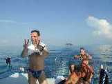 back from the island