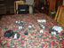 Entire Chaos army