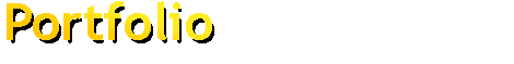 Portfolio 1