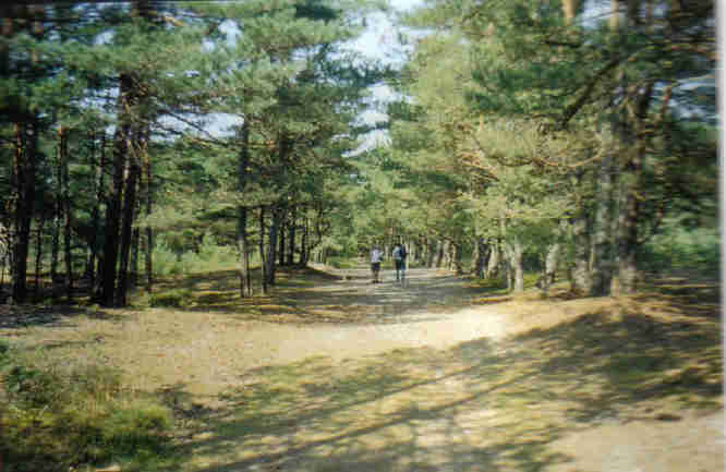 Kopalino	