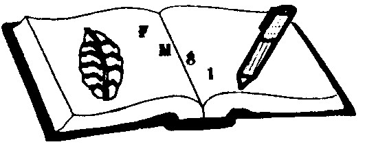 Cliquez ici pour lire certains articles du bulletin de la F.M.81
