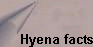 Hyena facts
