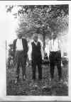 John, David & William Deitz.jpg (149365 bytes)