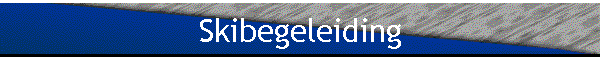 Skibegeleiding