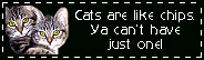 cats are like chips, ya can�t have just one